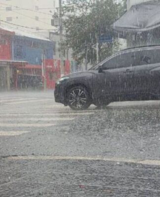 Temporal causa alagamentos, quedas de árvores e desabamentos em SP