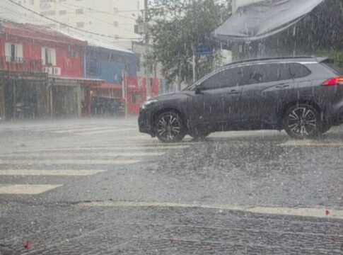 Temporal causa alagamentos, quedas de árvores e desabamentos em SP