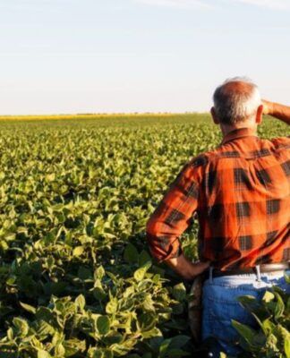 IPTU para imóveis rurais: quando vira ITR e diferenças