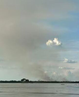 Incêndios no Pantanal consomem 6 mil hectares e mobilizam bombeiros em duas regiões do MS