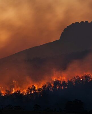 Onda de calor causa incêndios florestais no sul da Austrália