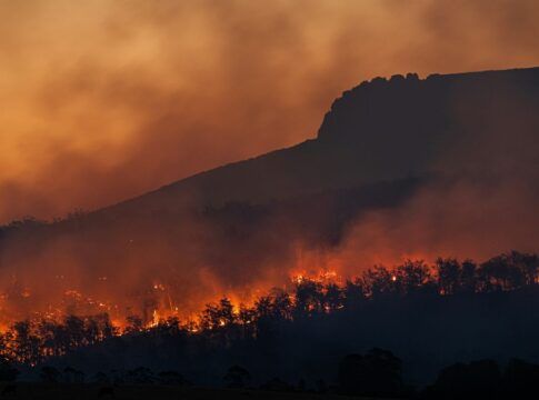 Onda de calor causa incêndios florestais no sul da Austrália