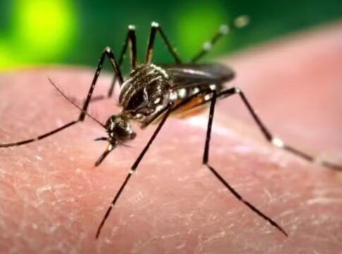 Estado de São Paulo confirma primeira morte por dengue em 2026