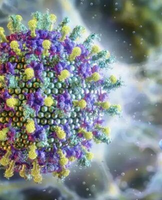 Ministério da Saúde diz que vírus Nipah não ameaça o Brasil