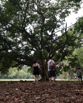 Pessoas no Parque Ibirapuera, em São Paulo (SP)
