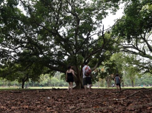 Pessoas no Parque Ibirapuera, em São Paulo (SP)