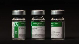 Vacina da dengue produzida pelo Instituto Butantan