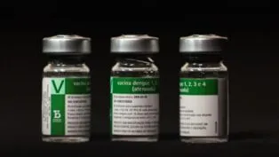 Vacina da dengue produzida pelo Instituto Butantan