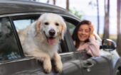 Close-up mulher com cachorro no carro freepik