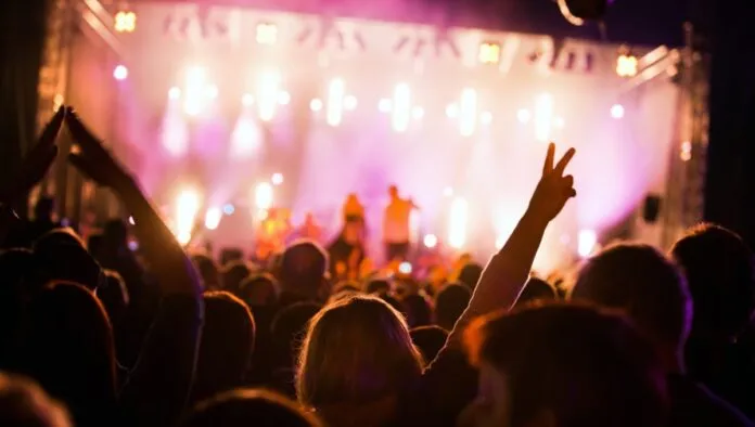 Pessoas em um festival de música