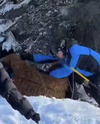 Foto: Reprodução/Instagram