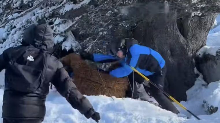 Foto: Reprodução/Instagram