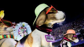 Luisa Mell participa de desfile da Mocidade Independente de Padre Miguel, no Carnaval do Rio de Janeiro, na Sapucaí e se emociona com homenagem ao Cão Orelha (Foto: Ricardo Moraes/Reuters)