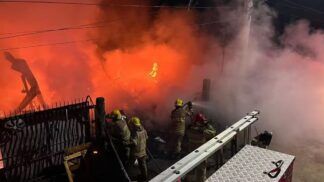 Cadela é resgatada de incêndio em MG
