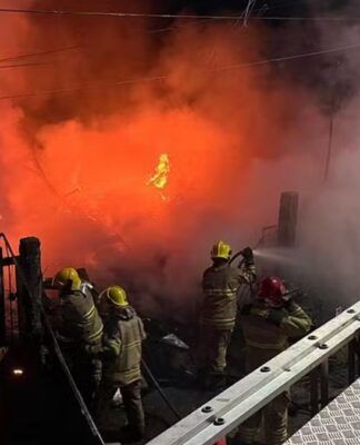 Cadela é resgatada de incêndio em MG