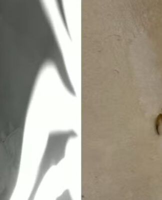 Escorpião cai de câmera de segurança enquanto mãe amamentava bebê em São Paulo; veja