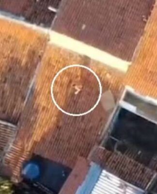 Traficante de drogas é preso ao tentar fugir da polícia pelo telhado de casas no Ceará