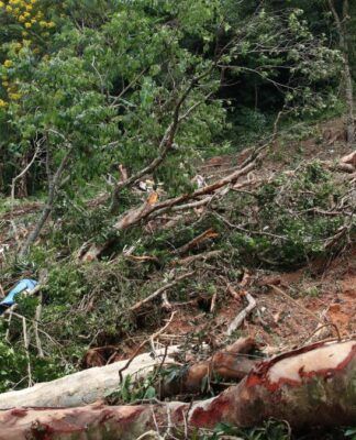 Chuvas: estado de SP tem 45 cidades em atenção para deslizamentos