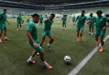 Luz no fim do túnel! Palmeiras vive expectativa de voltar para casa em eventual final