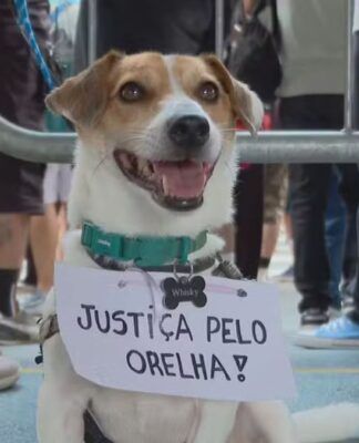 Ato na avenida Paulista, em São Paulo, exige punição pelos responsáveis pela morte do cão Orelha