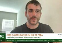 Resgate de animais na tragédia: veja formas de ajudar pets em áreas de risco