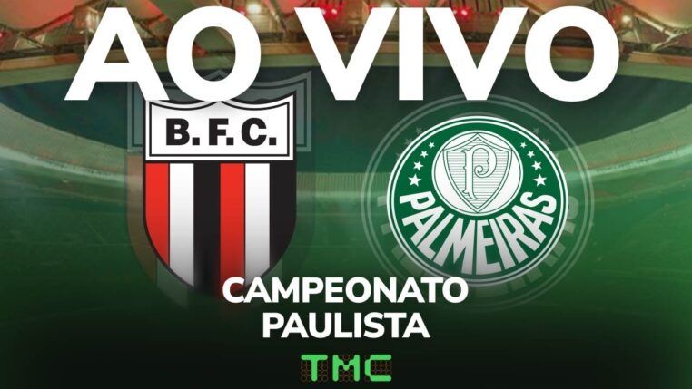 Botafogo-SP x Palmeiras