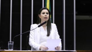 Caroline de Toni no plenário da Câmara