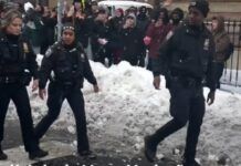 Policiais de Nova York são atacados com bolas de neve ao conter desordem em parque
