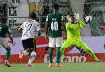 Foto: Cesar Greco/Palmeiras