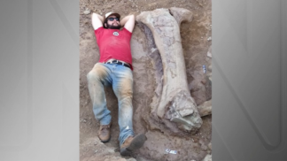 Um homem deitado no chão ao lado de um osso gigante de dinossauro.