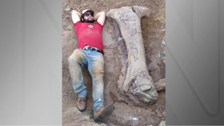 Um homem deitado no chão ao lado de um osso gigante de dinossauro.