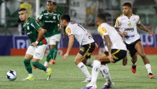 Foto: Cesar Greco/Palmeiras