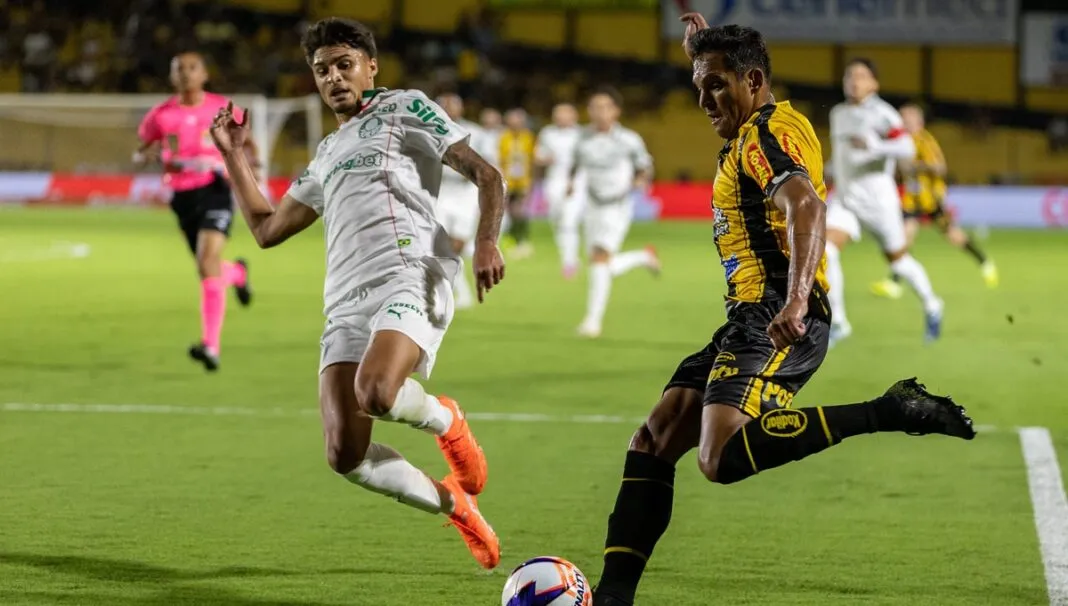 Foto: Juan Rodrigues/Novorizontino