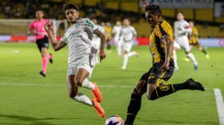 Foto: Juan Rodrigues/Novorizontino