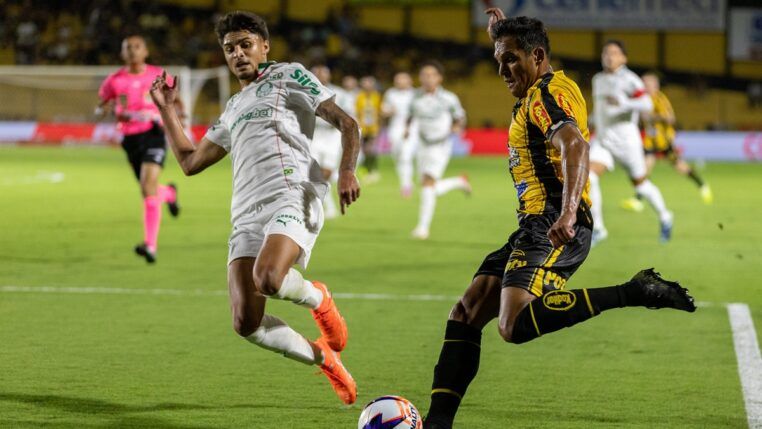 Foto: Juan Rodrigues/Novorizontino