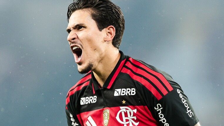 Foto: Gilvan de Souza/Flamengo