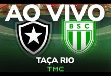 Botafogo x Novorizontino