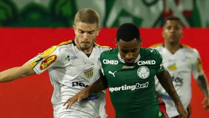 Palmeiras define logística e vai de ônibus para final do Campeonato Paulista