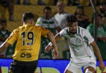 Confira datas e horários das finais do Paulista entre Novorizontino e Palmeiras