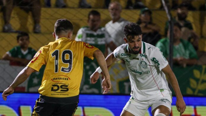 Confira datas e horários das finais do Paulista entre Novorizontino e Palmeiras