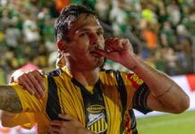 Robson projeta duelos das finais contra o Palmeiras: “Não custa nada sonhar”