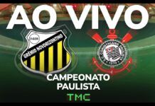 Montagem de Novorizontino x Corinthians