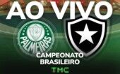 Palmeiras x Botafogo: transmissão ao vivo TMC