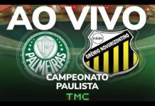 Palmeiras x Novorizontino: acompanhe a transmissão da TMC ao vivo