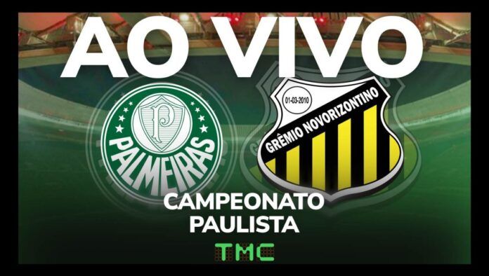 Palmeiras x Novorizontino: acompanhe a transmissão da TMC ao vivo