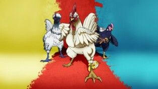 Anime do galo lutador ganha destaque e repercussão nas redes