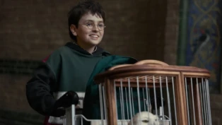 Teaser de Harry Potter bate recorde e série chega cercada por polêmicas envolvendo autora