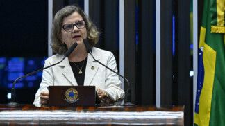Plenário do Senado Federal durante sessão deliberativa ordinária. Período do expediente. À tribuna, em discurso, senadora Teresa Leitão (PT-PE). Foto: Waldemir Barreto/Agência Senado