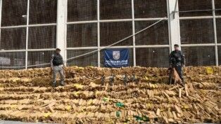 Dois policiais sobre as 48 toneladas de maconha