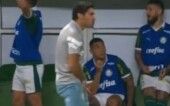 Em 2024, Abel Ferreira foi punido por dois jogos após segurar sua genital em direção ao árbitro Anderson Daronco